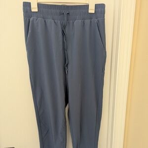All in Motion Women's Slate Blue Ankle Pants